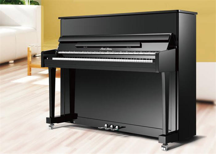 幾種常見鋼琴有雜音的原因及處置辦法